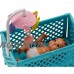 Barbie Babysitters Inc. Nikki Doll and Feeding Playset   565906323